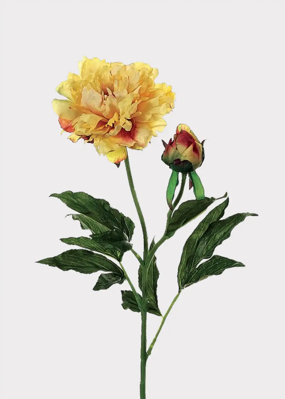 Artificial Modern Peony Floral Stem