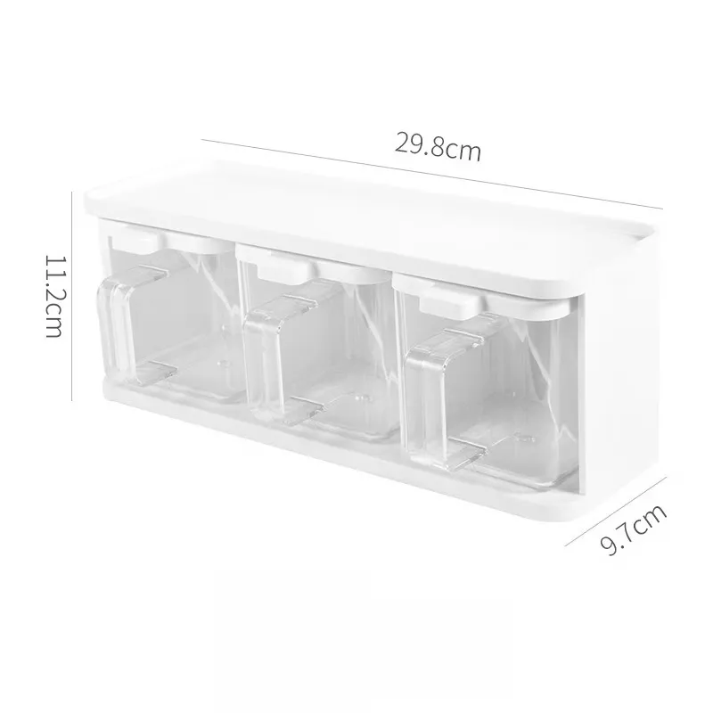 Countertop Spice Organizer