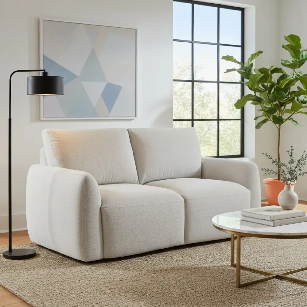 Cozy Contemporary Sofa