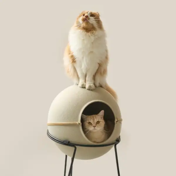Comfort Pet Resting Bed
