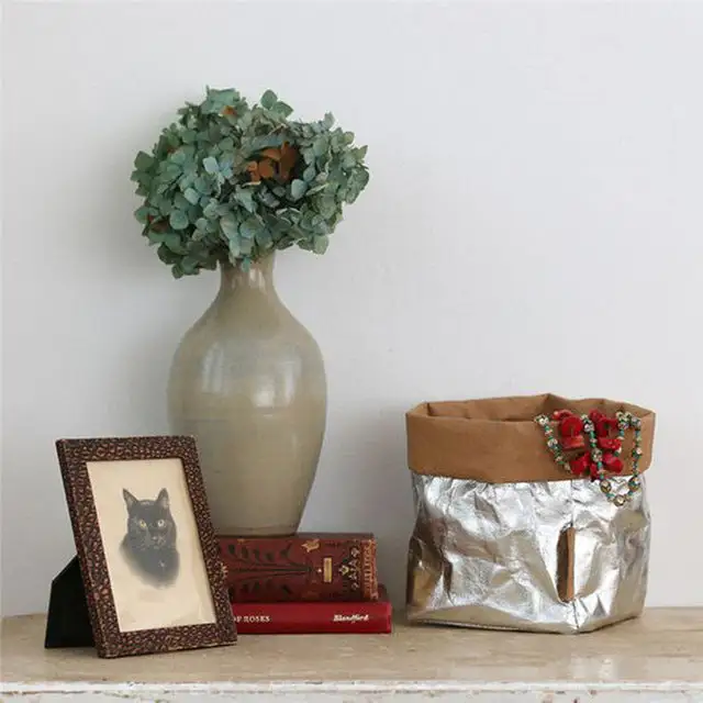 Washable Kraft Storage Bag