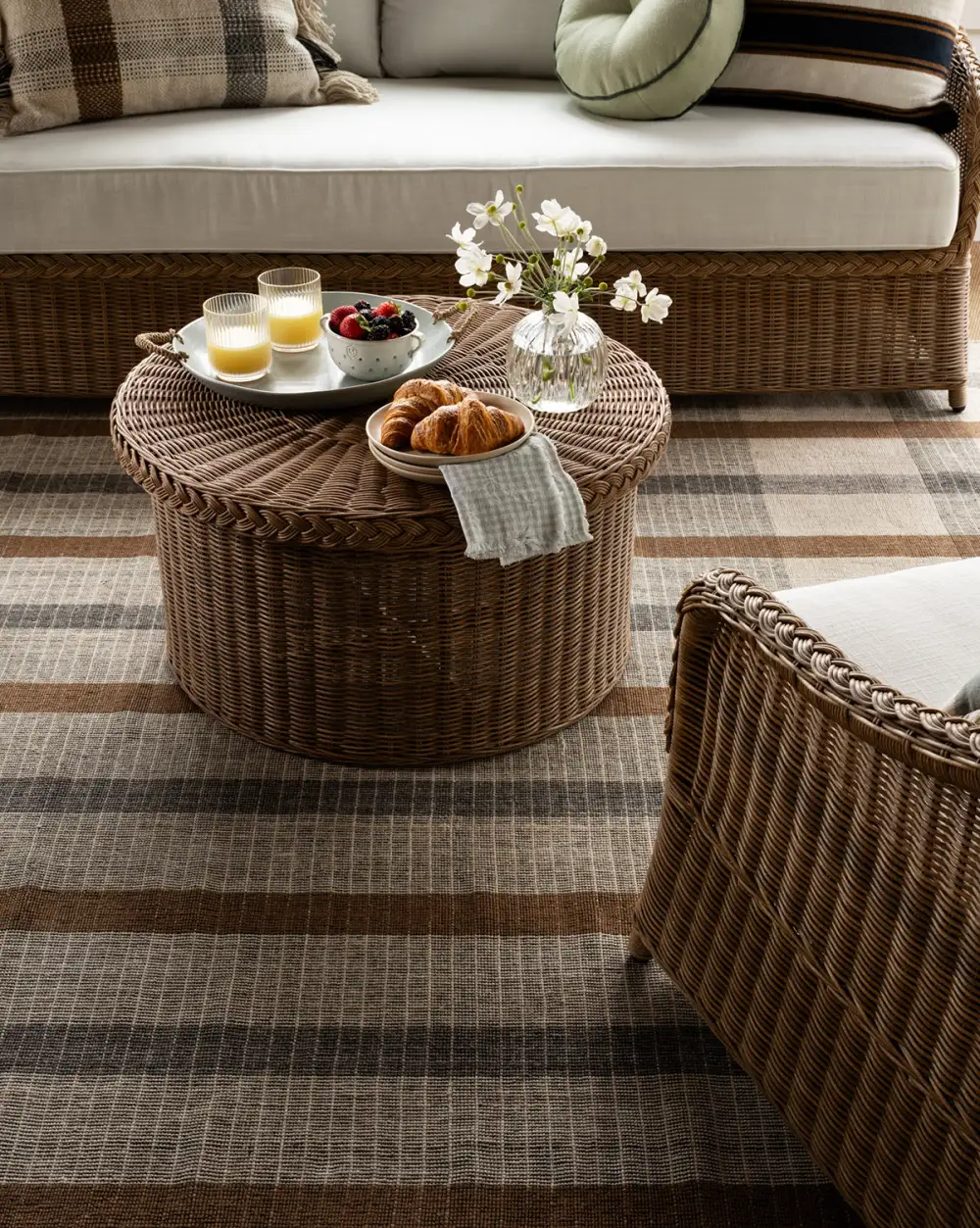Classic Handwoven Indoor-Outdoor Area Rug
