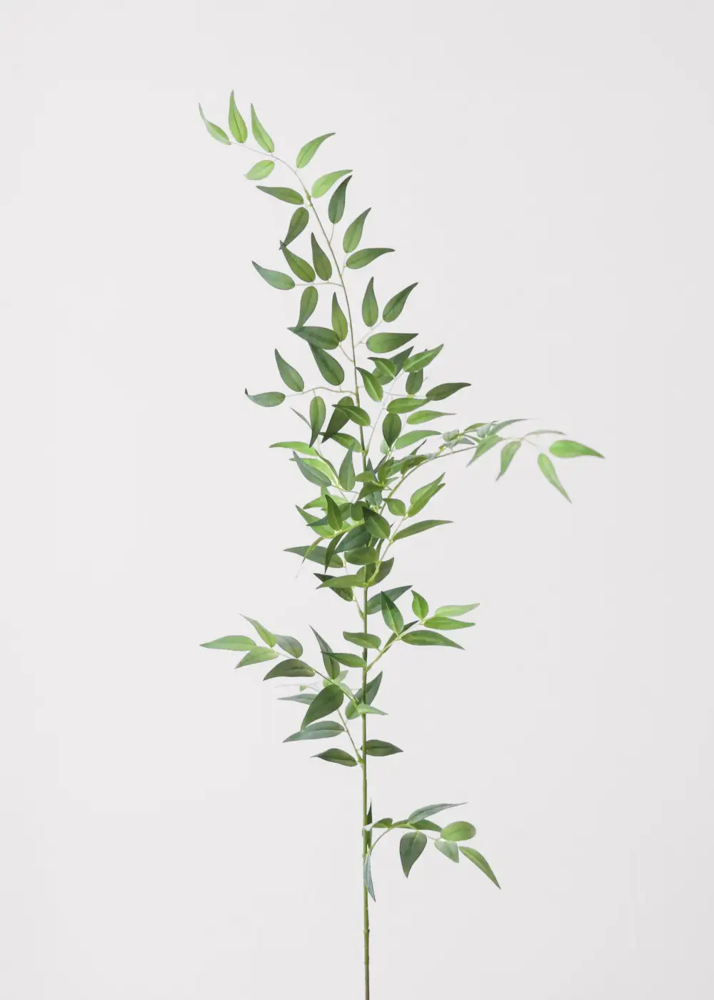 Artificial Ruscus Branch
