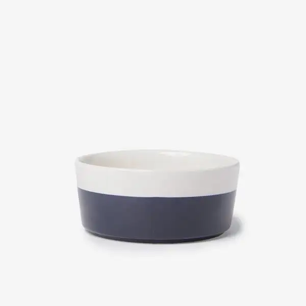 Casual Modern Pet Bowl