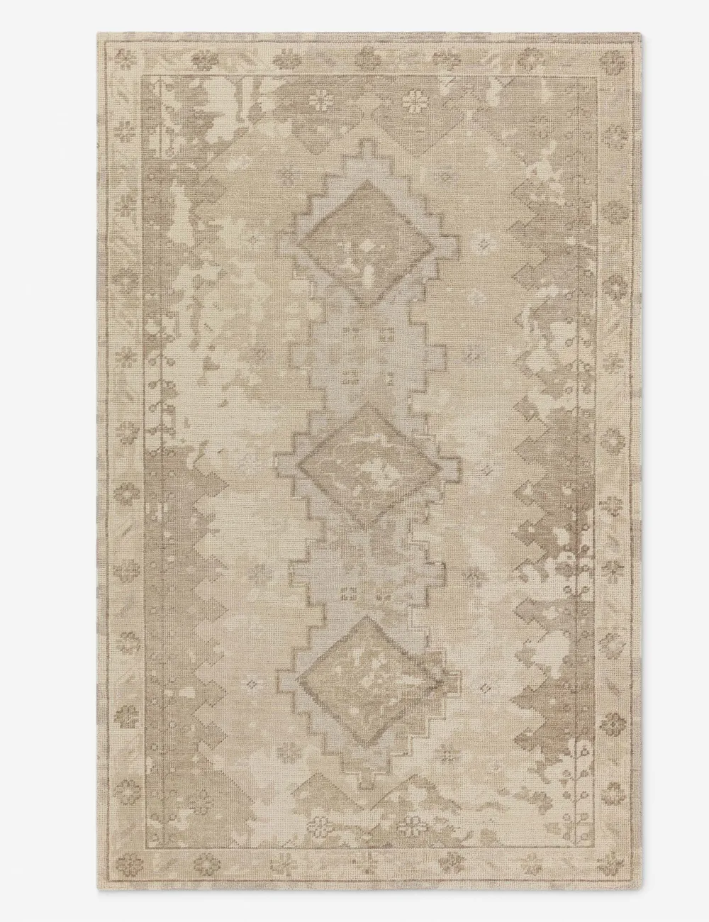 Soft Traditional Motif Hand Knotted Wool Area Rug