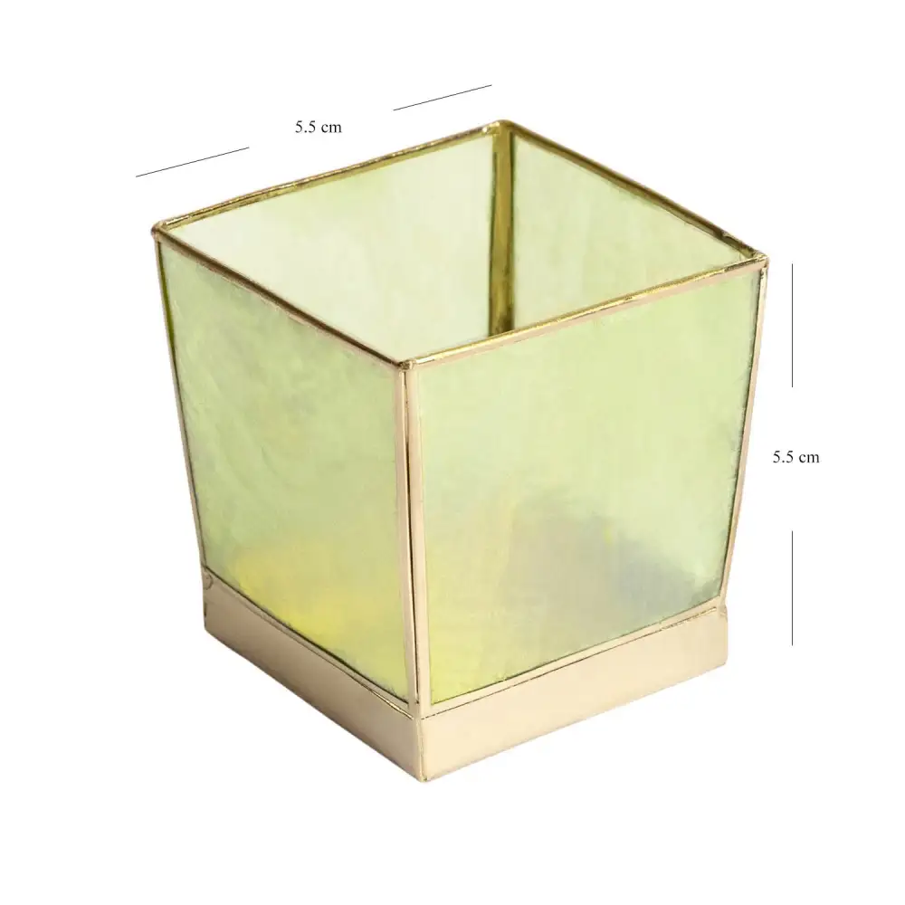 Green Shell Candle Holder Decorative Accent
