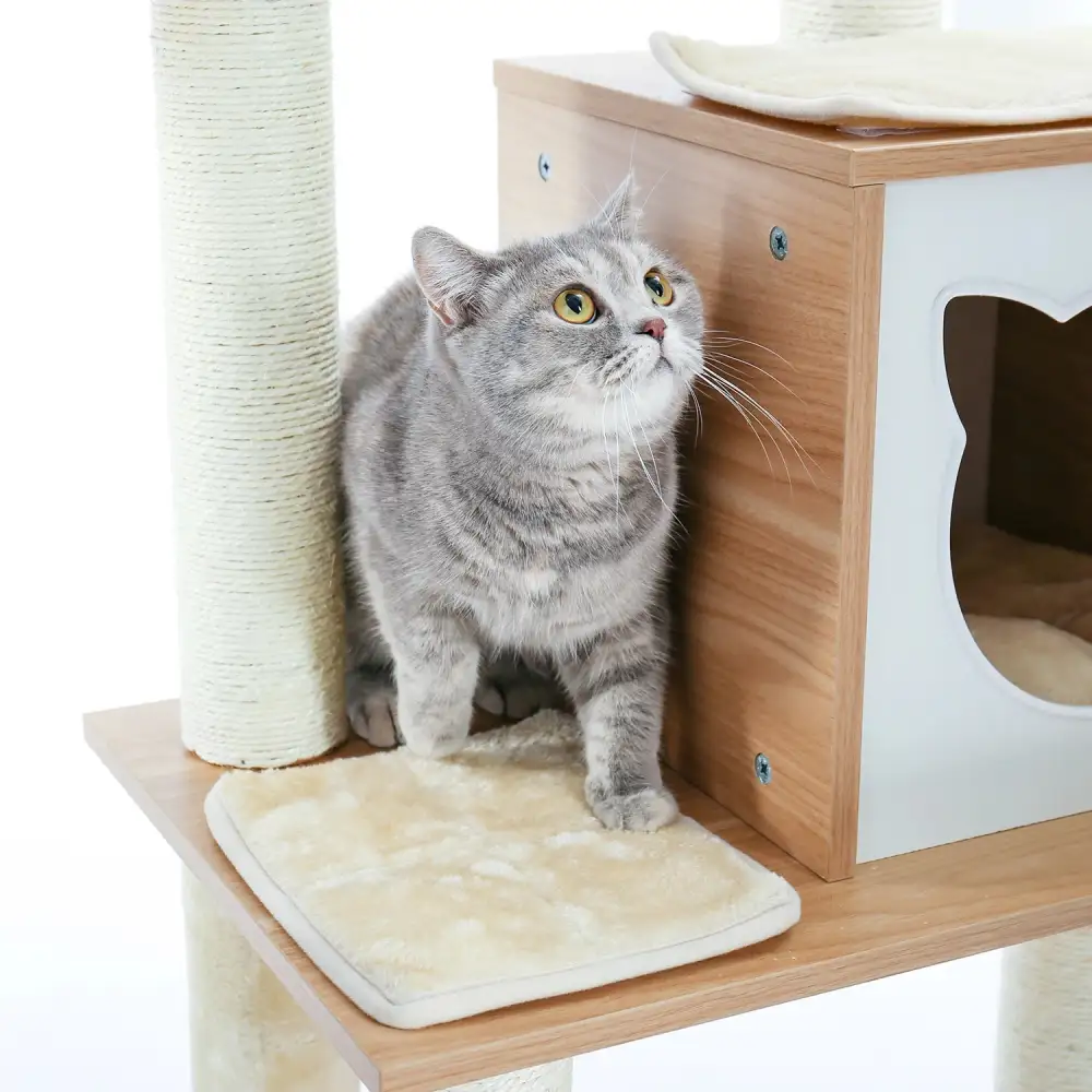 Comfortable Cat Climbing Tree