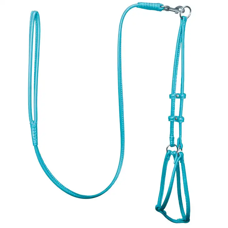 Adjustable Decorative Clean Dog Harness