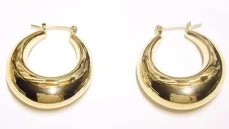 Delicate Geometric Accent Earrings