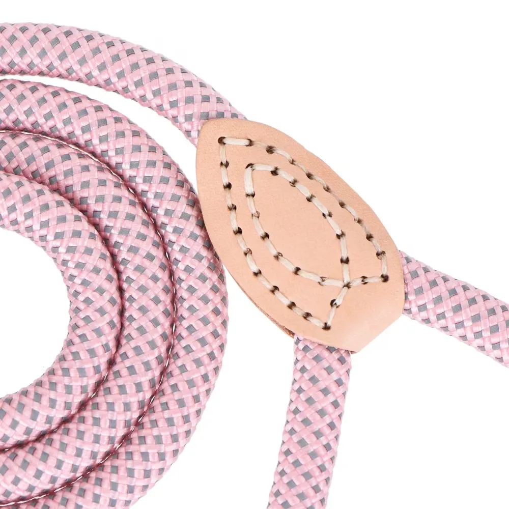Braided Pet Leash
