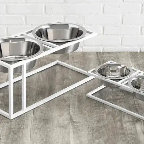 Double Elevated Streamlined Smart Pet Bowl
