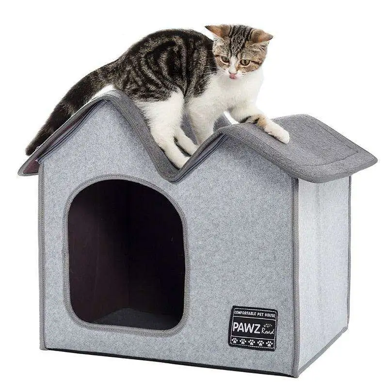 Cozy Dual Chamber Cushion