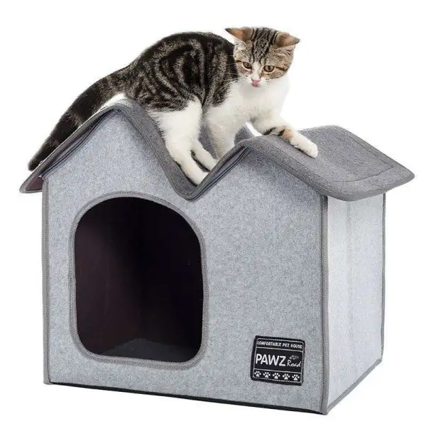 Cozy Dual Chamber Cushion