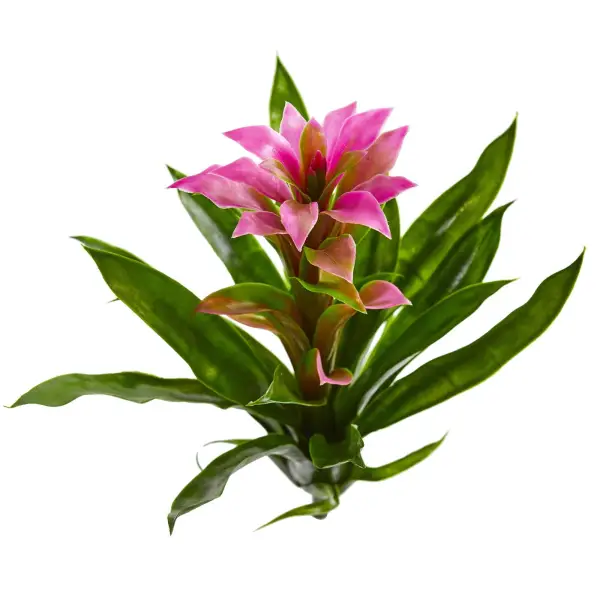 Artificial Bromeliad Flower