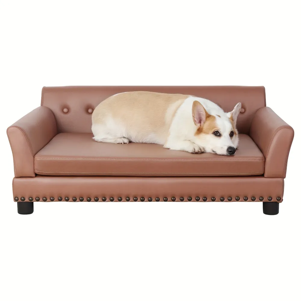 Practical Upholstered Pet Sofa for Professional and Home Use in Pet Care