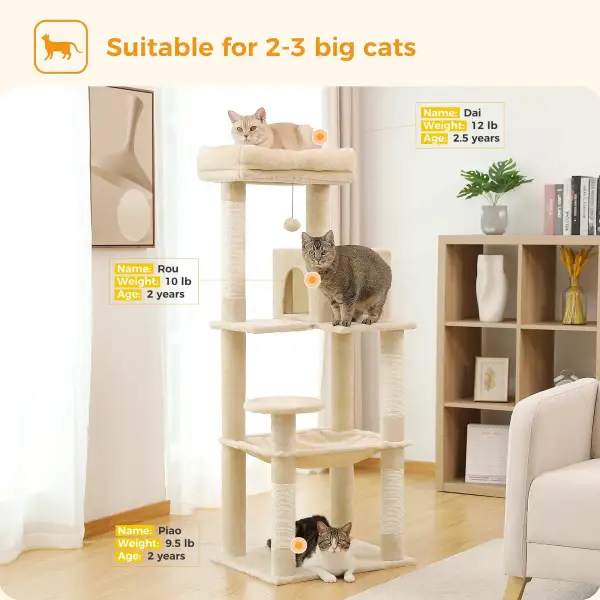 Multi Level Cat Playground Cat Trees