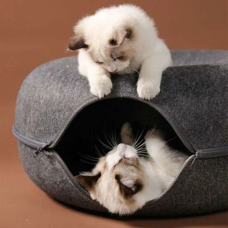 Purrfect Play Home Furniture Everyday