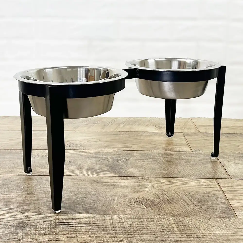 Modern Double Dog Bowl Feeder