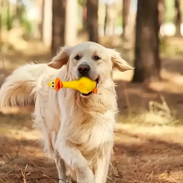 Latex Squeaky Duck Dog Toy