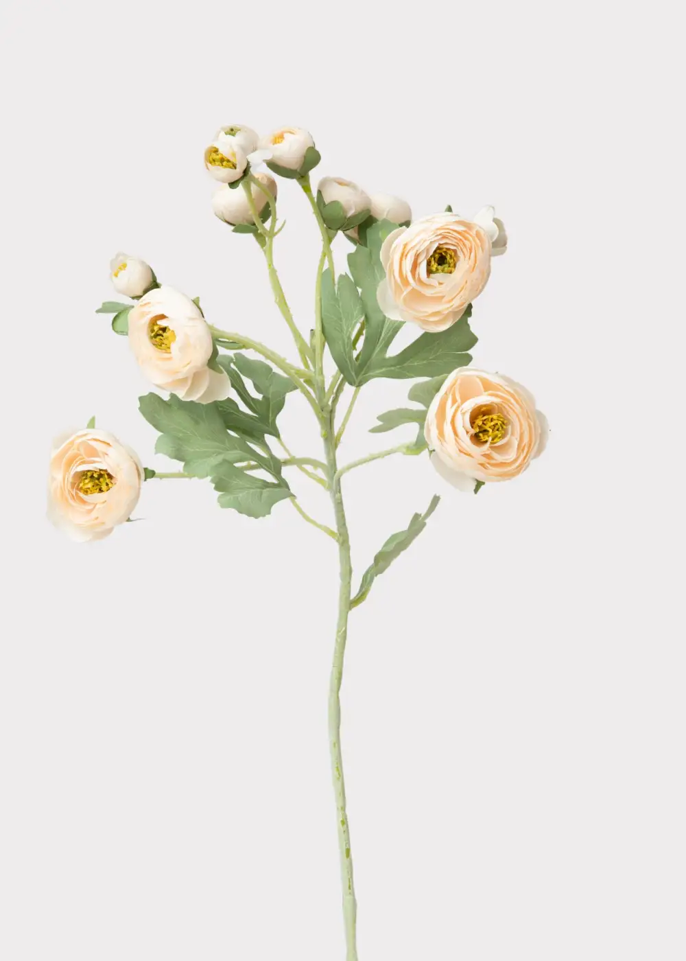 Artificial Ranunculus Floral Stem