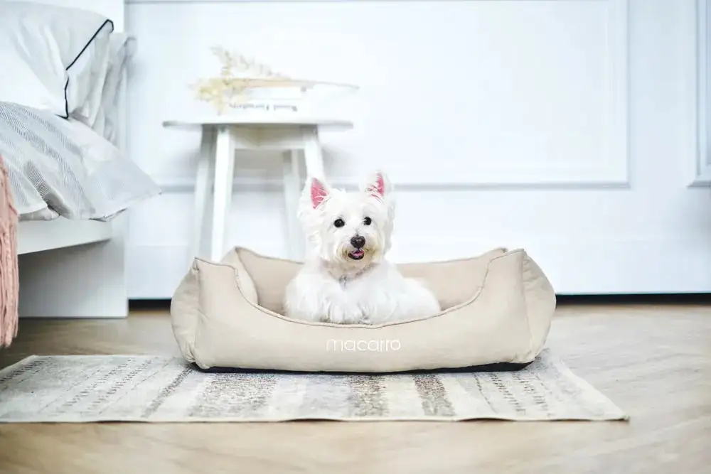 Soft Touch Pet Resting Bed