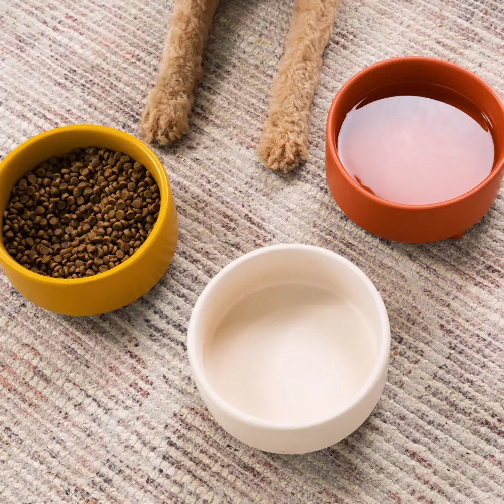 Footed Ceramic Dog Bowl