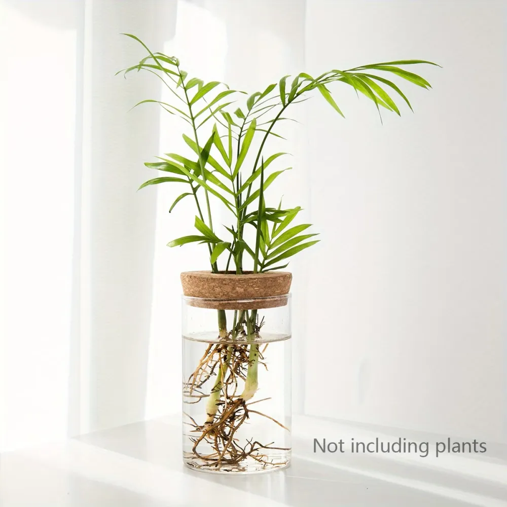 Glass Hydroponic Planter