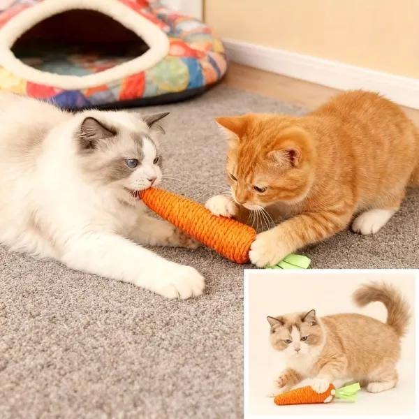 Carrot Cat Chew Toy