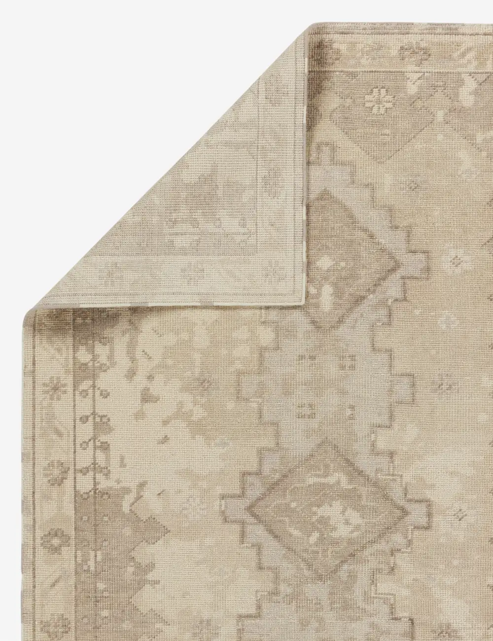 Soft Traditional Motif Hand Knotted Wool Area Rug