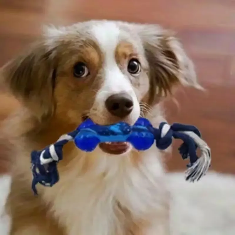 15pcs Durable Dog Chew Toy Set