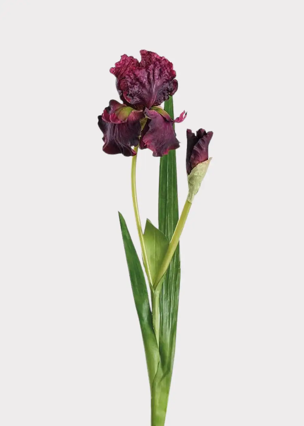 Artificial Iris Floral Stem