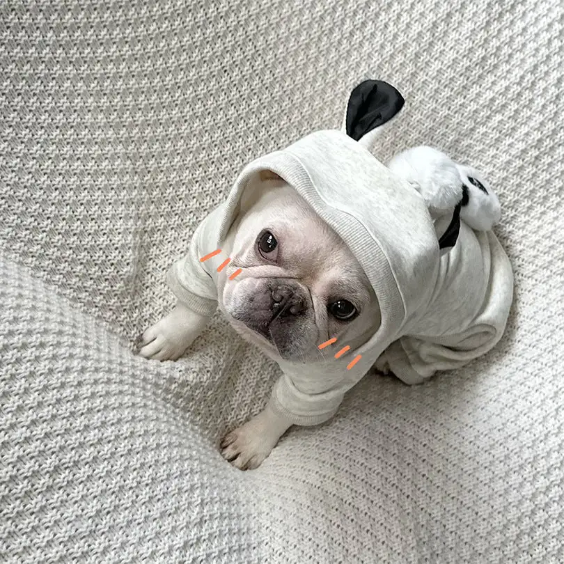Panda Onesie Costume