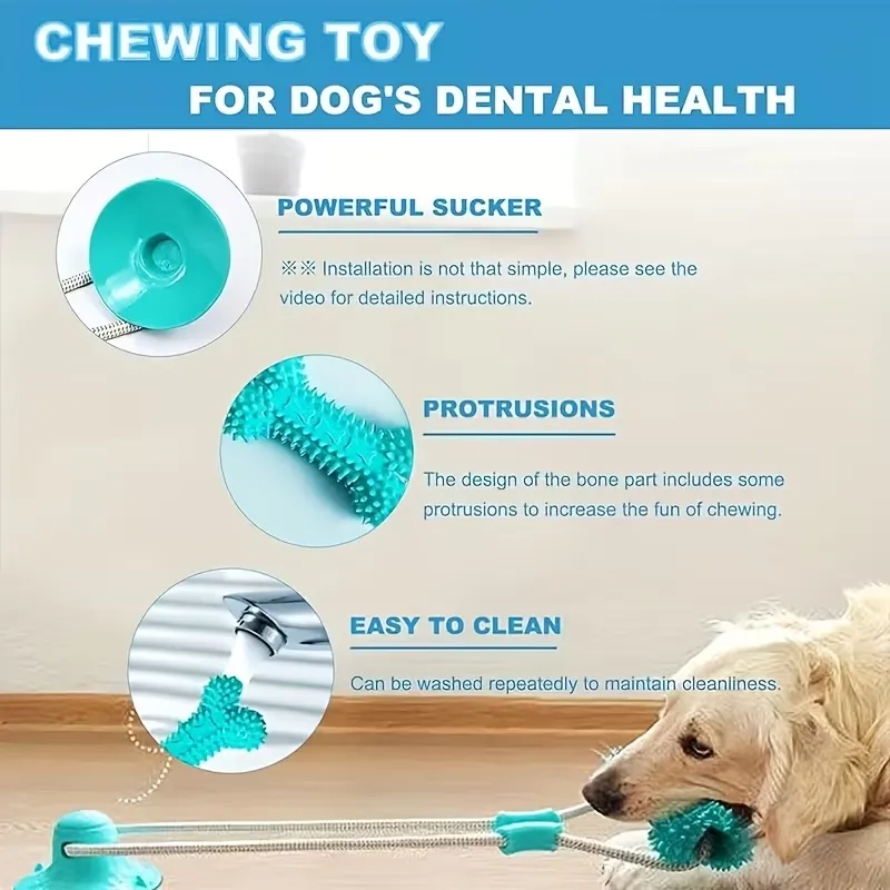 Suction Cup Dog Tug Toy
