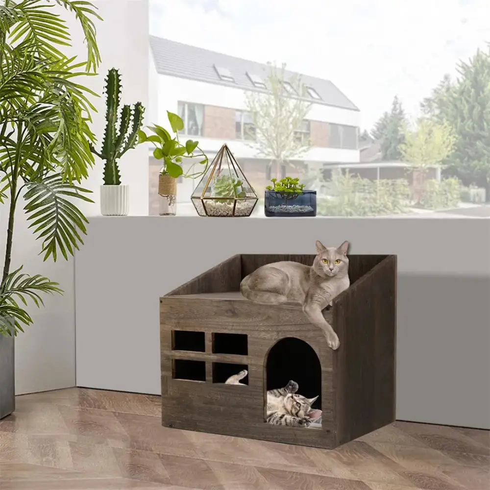 Clean Cat Litter Solution