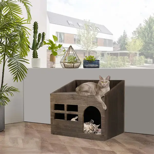 Clean Cat Litter Solution