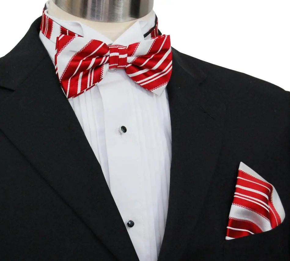 Graceful Striped Silk Bow Tie Set