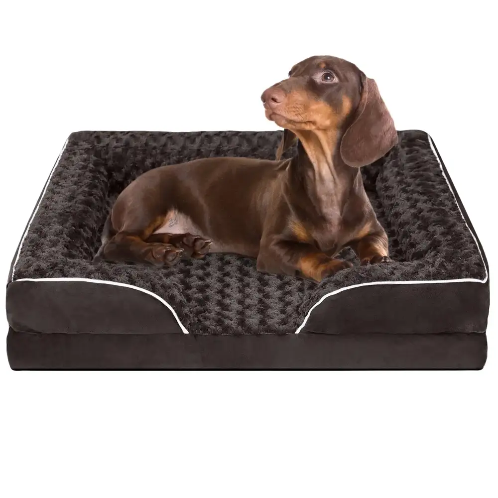 Everyday Foam Dog Sofa Bed