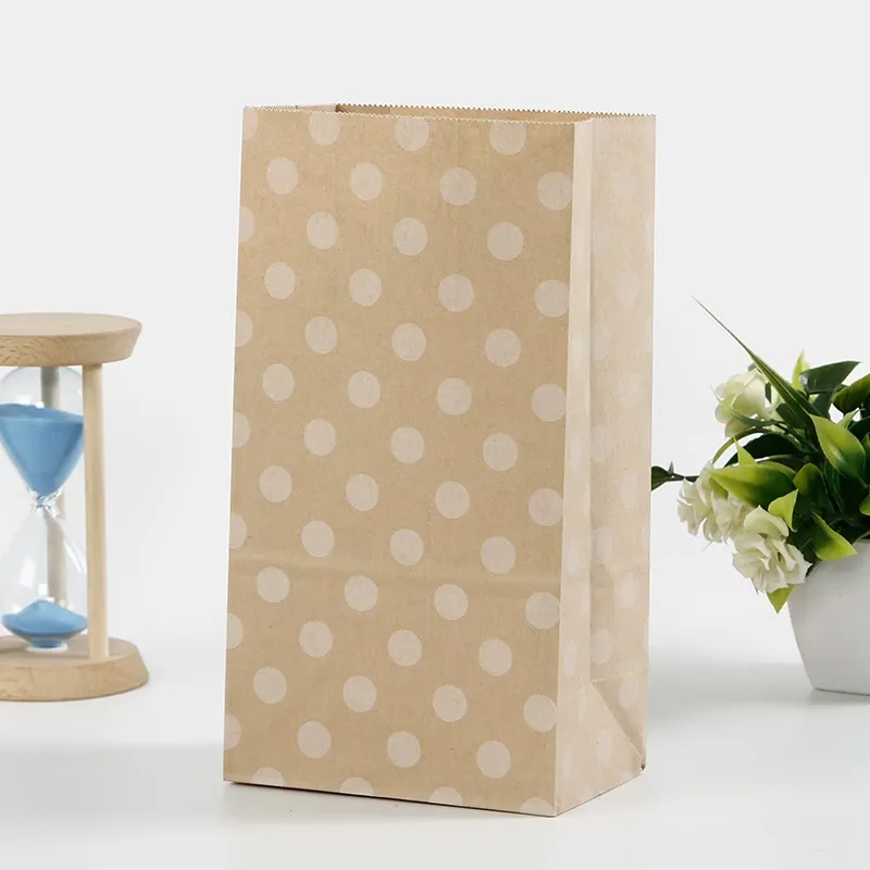 10 Pcs Patterned Kraft Gift Bag