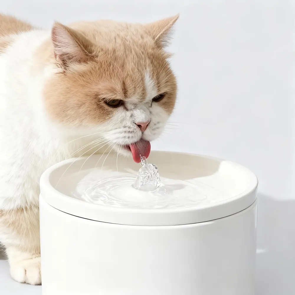 Easy-Clean Pet Water Fountain