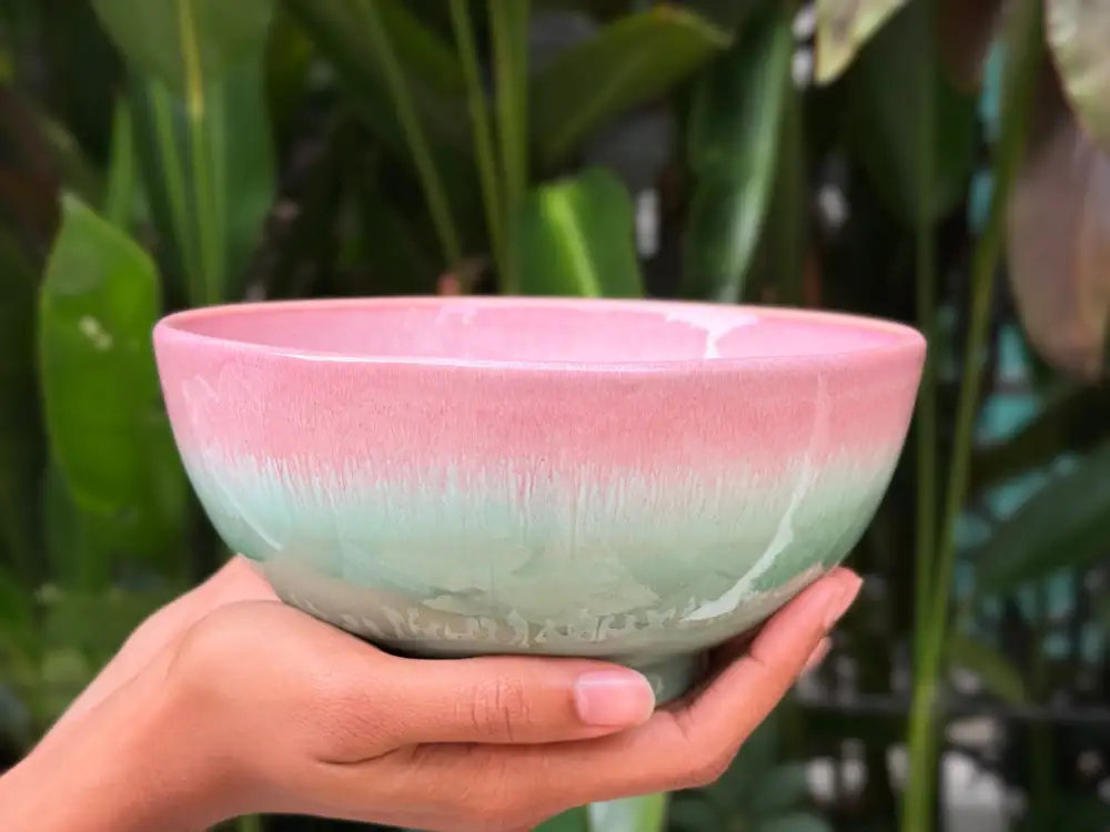 Smooth Rounded Dining Dining Bowl