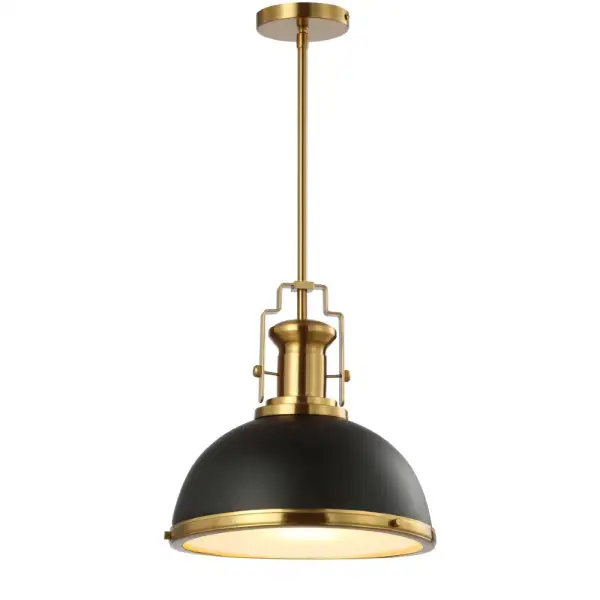Adjustable Iron/glass Vintage Classic LED Pendant