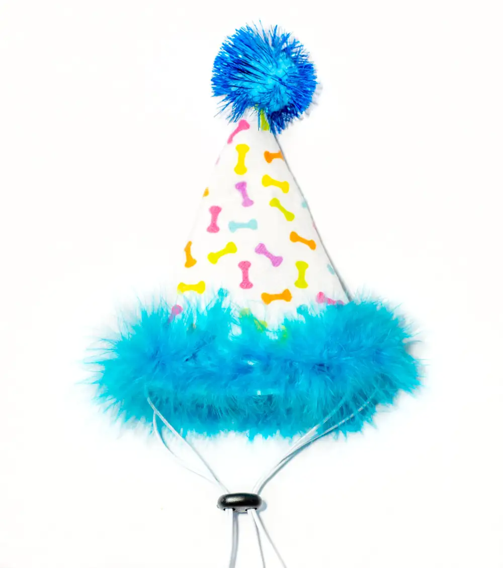 Playful Pet Party Hat