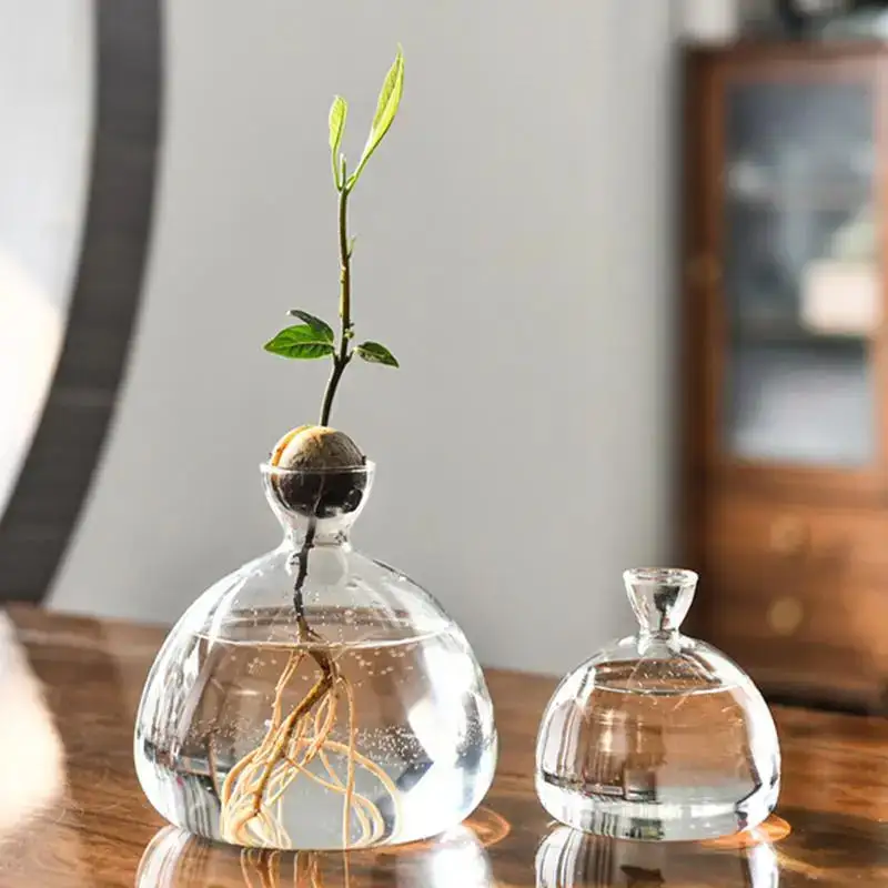 Glass Decorative Table Vase
