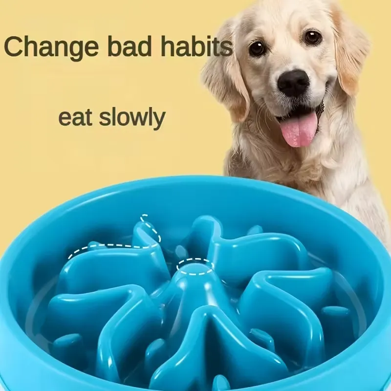 1pc XL Slow Feeder Pet Bowl