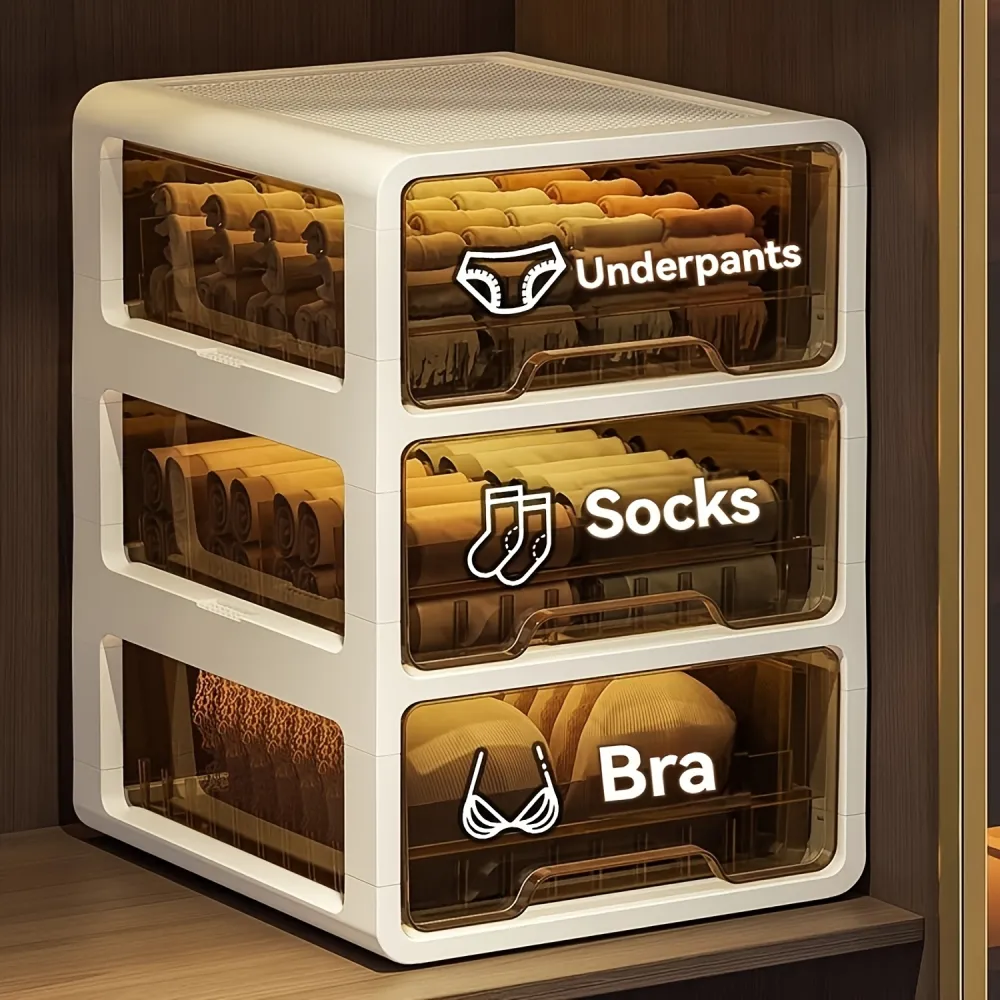 Durable Multi-Drawer Lingerie Storage Unit, Closet Essential for Categorized Intimate Wear Organization