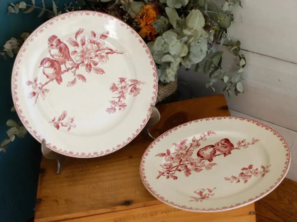 Collected Transferware Dinner Plate