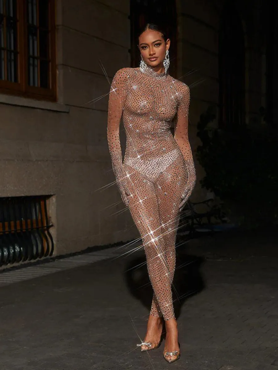 Ally Rhinestone Mesh Jumpsuit In Silver