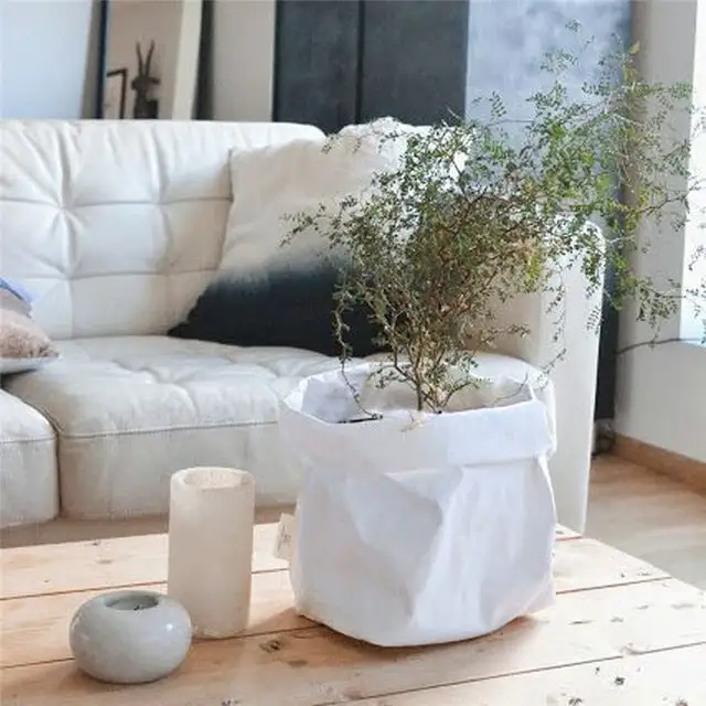 Washable Kraft Storage Bag