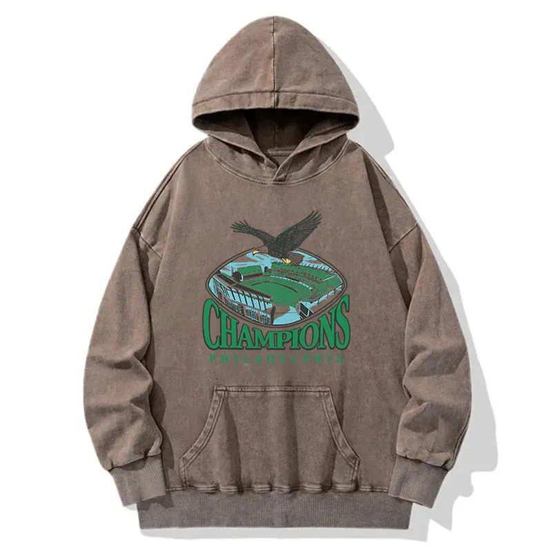 Eagle Champion Washed Hoodie