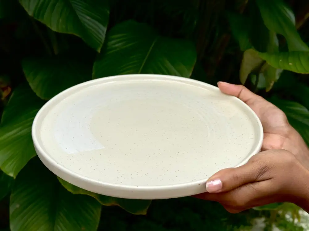 Raised Edge Dining Dinner Plate